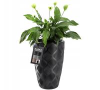 Pot de fleurs KADAX avec insert et poignées, en plastique, 58,5 cm, noir