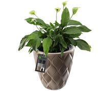 KADAX Pot de Fleurs Haut, Jardinière en Plastique de Grande Taille avec Motif Moderne pour Sublimer Votre Intérieur ou Extérieur, Bac à Fleur (Beige, 32.5 cm)