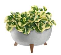 Pot de fleurs KADAX avec trois supports, 40 cm, gris