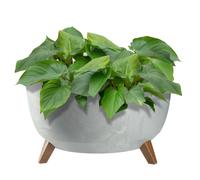 KADAX Pot de Fleurs en Plastique sur Trois Pieds, Effet Bois Élégant pour Sublimer la Décoration de Votre Maison et Jardin, Intérieur et Extérieur (Gris, 47 cm)