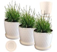 KADAX Pot de Fleurs 25 cm - en Plastique avec Soucoupe Intégrée, Pot de Plante pour Une Décoration Florale Moderne dans l'espace Intérieur (Ecru)