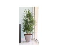 RiViERA Pot de fleurs Loft – Rond Ø 50 x H 46 cm avec réserve d'eau – Taupe