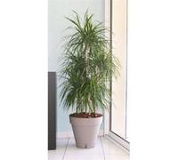 Pot de fleurs Loft avec réserve d'eau - Rond - Ø 50 x H 46 cm -Taupe