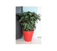 Pot de fleurs Loft avec réserve d'eau - Rond - Ø 50 x H 46 cm - Rouge
