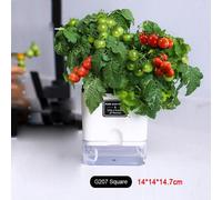 Pot De Fleurs Magnétique En Plastique Auto-Absorbant Avec Corde De Coton, Pour Plante Paresseuse À Double Pont, Fournitures De Jardin, Nouveauté.G207