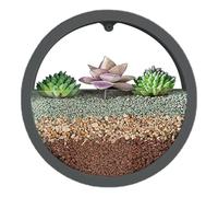 Pot de Fleurs Mural Transparent | Vase Mural Transparent - Pot de Fleurs d'intérieur Rond à Fixation Murale pour Panier décoratif