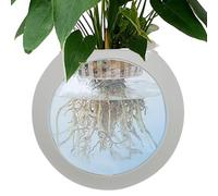 Pot de fleurs mural transparent | Vases muraux en silicone pour fleurs | Support de aériennes pour terrarium, décoration d'intérieur, station de propagation de globe oblat pour