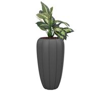 botle Pot de fleurs avec insert - Couleur anthracite - Rond - 40 cm - Hauteur 75 cm - Surface mate - En plastique mat - Moderne et glamour