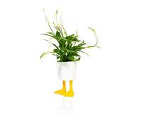Pot de Fleurs Pieds de Canard Jaune Petit modèle