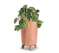 Pot de fleurs pieds haut jardiniere rond 20 cm bac a fleurs plastique terre cuite béton