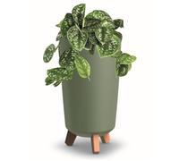 Pot de fleurs pieds haut Tube jardiniere rond 24 cm bac a fleurs mat vert en plastique
