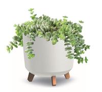 Pot de fleurs pieds jardiniere rond 30 cm blanc mat bac a fleurs plastique