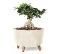 Pot de fleurs pieds jardiniere rond 39 cm bac a fleurs plastique creme béton