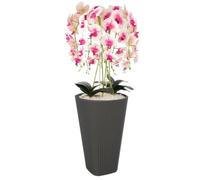 Pot De Fleurs Pot De Fleurs Avec Grand Insert Couleur Anthracite Rond Ø39 Cm H 61 Cm Rainure Surface Mat Plastique Moderne Glamour Multicolore