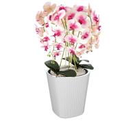 Pot De Fleurs Pot De Fleurs Avec Grand Insert Couleur Blanc Rond Ø39 Cm H 41 Cm Rainure Surface Mat Plastique Moderne Glamour Multicolore