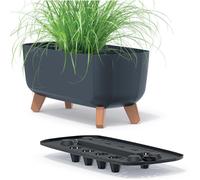 Prosperplast Gracia Case Pot de Fleurs rectangulaire - 24 x 58 x 23,5 cm - pour l'intérieur et l'extérieur - Pot de Fleurs de Jardin résistant aux intempéries avec Amovible