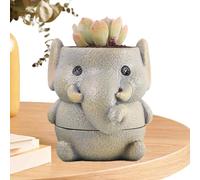 Pot de Fleurs | Pot décoratif sûr pour et orchidée | en Pot pour Le Jardin Graisse | Succulentes Pot Utilisation Intérieur Extérieur Jardin Famille Hommes Femmes Passionnés De