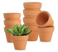 Pot de fleurs Pots en Terre Cuite, 10 pcs Pots de Fleurs en Terre 13cm avec Trou de Drainage G