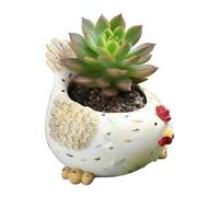 Pot De Fleurs Poule - Cache-Pots Résine Intérieur avec Trou De Drainage - Conteneur Végétal Polyvalent pour Balcon Appui de Fenêtre Séjour Terrasse