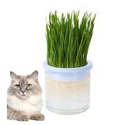 Pot de fleurs pour à chat - Kit d' auto-croissante pour chat - Pot d' élégant - Pot de fleurs adapté aux chats pour l' - Récipient d' pour l'intérieur -