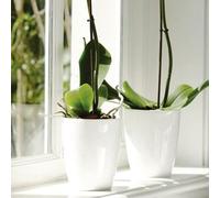 Pot De Fleurs Pour Orchidées Elho Brüssel Blanc 13cm - Modèle Élégant Et Haut Multicolore