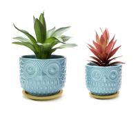 Pot de fleurs pour plantes succulentes Nattol Owl Turquoise avec drain