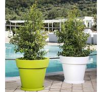 POT DE FLEURS RESINE DIAMÈTRE 80 BLANC ARBRE JARDIN DEHORS INDOOR OUTDOOR
