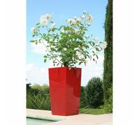 Pot de fleurs Riviera Rouge Plastique à carreaux rond Moderne 29 x 29 x 52 cm 29 x 29 cm