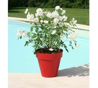 Pot de fleurs RIVIERA Soleilla - Rond - Ø 60 x 53,6 cm - Rouge