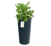 Pot De Fleurs Rond Ø 25 Cm H 48 Cm Anthracite Élégant Haut Rayé Multicolore