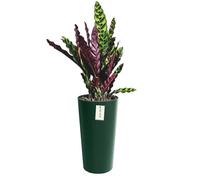 Pot De Fleurs Rond Ø 30 Cm H 57.5 Cm Vert Élégant À Rayures Hautes Multicolore