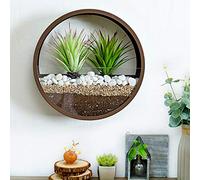 Pot de fleurs rond à suspendre, vase mural, Pot de fleur mural 2 en 1, Terrarium en verre et Vase mural rond en métal, support de plante à Air, conteneur Vertical, décoration intérieure(Bronze)