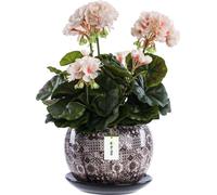 Pot de fleurs Rond Boule en céramique Ø14 cm H 12,5 cm Marron Mosaïque brillant avec soucoupe Rond Arrangements floraux, décoration unique de motifs,décoration originale, succulentes Géraniums Plantes