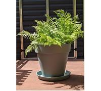 Pot de fleurs rond RIVIERA SOLEILLA - Plastique 100% recycleble - D59 x H54 - Vert argile