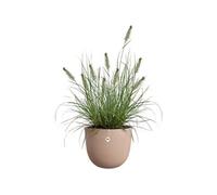 Pot de fleurs - - Sereh Rond 30 - Marron - L 30 x B 29.5 x H 25 cm - 100% recyclé