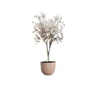 Pot de fleurs - - Sereh Rond 47 - Marron - Ø 47 x H 40 cm - 100% recyclé