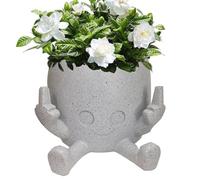 Pot de fleurs souriant avec doigts du milieu, pots de fleurs pour grasses, pot de fleurs, pot de fleurs en résine, pot de fleurs succulentes, décoration de table