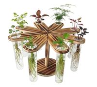 Pot de fleurs - Vase , support de verrerie, multiplicateur de boutures de bureau, pousses botaniques modernes, centres de croissance des racines pour l'intérieur | Pot à essai