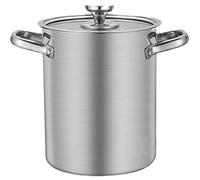 Pot de friture avec panier et couvercle en acier inoxydable Pot Stock Pot Pot Huile Fryer pour pâtes, spaghettis, œufs durs, crevettes, frites, type givré, pot à frire