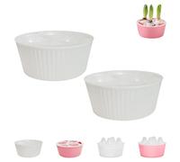 Pot de jacinthe à 3 trous, Récipient de plantation de bulbes de fleurs, Jardinière hydroponique, Pour jardiniers, appartement, bureau, enseignants, personnes âgées, débutants, rebord de fenêtre