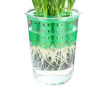 Pot de plantation d'oignon vert, cultivateur réutilisable transparent, kit de culture de d'oignon de printemps, pour rebord de fenêtre, cuisine intérieure, coin ou terrasse