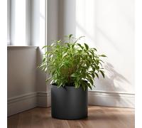 Pot de plante Fox & Fern 8 pouces avec drainage - planteur noir mat leger premium Pot de plante interieure et jardiniere en plein air; Pot de 8 p