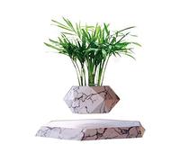 Pot de plantes flottantes - Pot de bonsaï à lévitation ,Pot de plantes à lévitation magnétique, technologie innovante de plantation à lévitation, plantes en pot à lévitation magnétique ( Color : C )