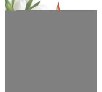 Pot de torche - Remplacement de carburant à la citronnelle avec mèches et couvercles | Couvertures de torche de patio extérieur Torch en métal pour le patio de pelouse Backyard Deceding Garden Decor |