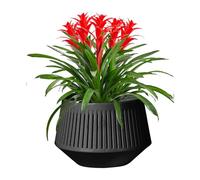 Pot de verger pour la réplantation-jardinière orchidée respirante à deux couches avec drainage, pot de contrôle des racines | Conteneurs extérieurs intérieurs pour plantes d'intérieur de phalaenopsis