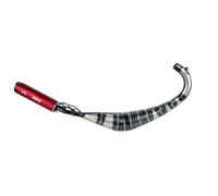 Tecnigas Basic Aprilia Di-tech Not Homologated Muffler Argenté Not Homologated