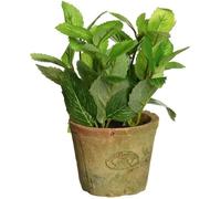 Pot décoratif - Esschert's Design - AH003 - terre cuite vieillie - menthe 13,8x16,2 cm - intérieur/extérieur