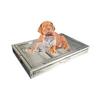 Pot d'entraînement verrouillable en acier inoxydable pour chien - Plateau de nettoyage facile et protection du sol - Idéal pour l'intérieur et l'extérieur