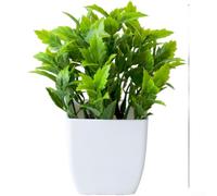 Pot d'eucalyptus artificiel, plante de verdure en plastique, faux feuillage pour intérieur et extérieur, maison, bureau, salon, décoration de table (G)