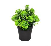 Pot d'herbe de lotus sans eau 16 cm Décoration nécessitant peu d'entretien | Sans entretien, ne se fanent pas, résistent aux moisissures, restent frais pour toujours, idéal pour les maisons occupées
